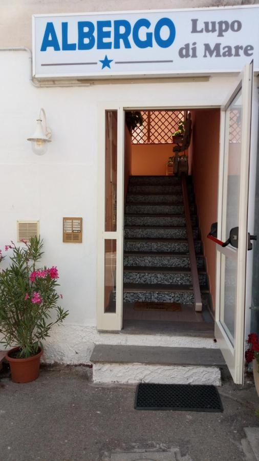 Hotel Lupo Di Mare Marina di Castagneto Carducci Extérieur photo